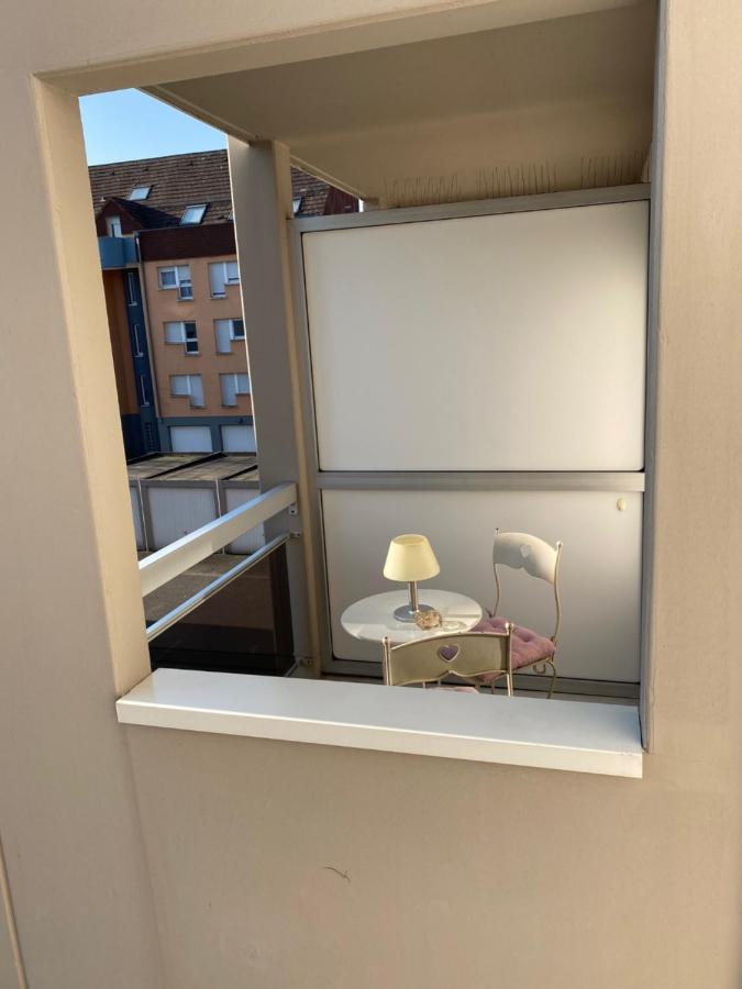 Charmant studio à Haguenau, à 25mn de Strasbourg Exterior foto